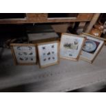 Four Guinness framed advertising prints - fishing scene, bird scene, a page for the connoissuer
