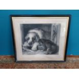 19th C . Black and white print of Dog mounted ebonised frame. {98 cm H x 110 cm W}.