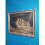 Early 20th C. Sleeping Lions oil on canvas mounted in giltwood frame {75 cm H x 90 cm W}.