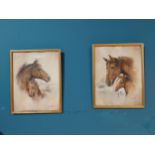 Pair of Edwardian Ruane Manning Horse coloured prints mounted in gilt frame {38 cm H x 31 cm W}.