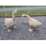 Pair of composition models of Geese. {91 cm H x 70 cm W x 40 cm D} and {64 cm H x 76 cm W x 34 cm