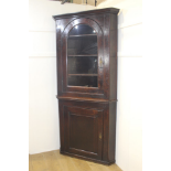 19th C corner oak cabinet with single arched glazed door above single blind door {H 213 x W 97 x D