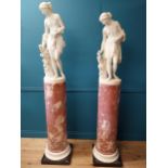 Pair of 19th C. packed marble plinths.