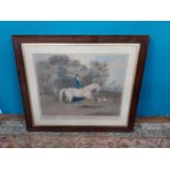 19th C. Equestrian coloured print mounted in rosewood frame {79 cm H x 90 cm W}.
