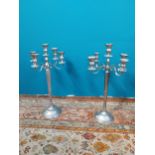 Pair of silverplate four branch candelabras {80 cm H x 44 cm Dia.}.
