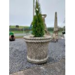 Pair of moulded stone planters in the Gothic style. {64 cm H x 78 cm Diam}. (Plants included but not