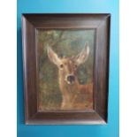 19th C. oil on canvas The Stag mounted in oak frame {68 cm H x 53 cm W}.