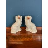 Pair of 19th. C. ceramic Staffordshire dogs. { 25 cm H X 17 cm W X 12 cm D }.