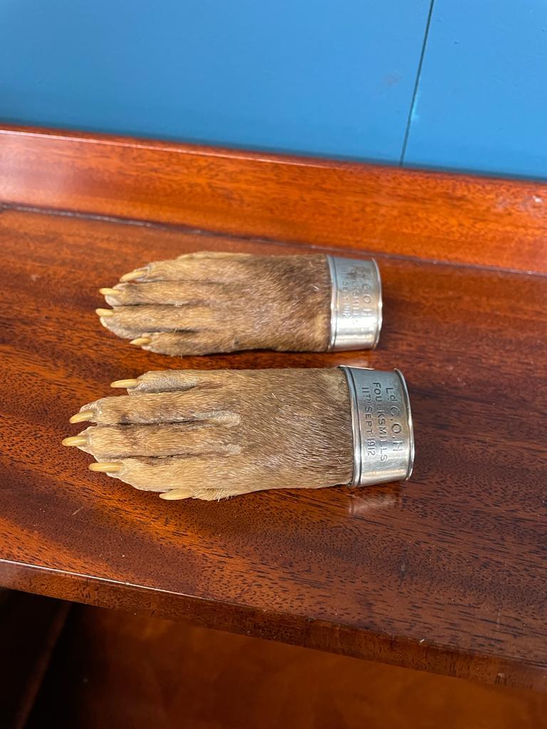 Pair of taxidermy otter paws with silver cuffs inscribed Ld. C. O. N. Foulsksmills 11th Sept.