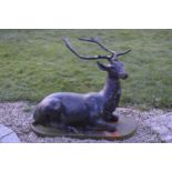 Lifesize model of seated Deer on an oval plinth.{85 cm H x 110 cm W x 70 cm D}.