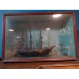 Edwardian hand built model of a Ship mounted in glazed mahogany case {52 cm H x 73 cm W x 30 cm D}.
