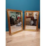 Pair of decorative gilt wall mirrors with bevelled glass {104 cm H x 73 cm W}.