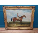 19th C. Horse and Jockey oleograph mounted in decorative giltwood frame. {118 cm H x 145 cm W}.