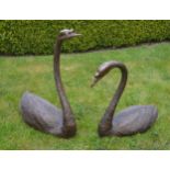 Pair of bronze lifesize models of Swan's.{92 cm H x 70 cm W x 30 cm D}.