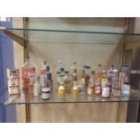 Thirty two miniature bottles {H 20cm down to H 5cm}