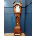 Grandfather clock {H 220cm x W 140cm x D 42cm }