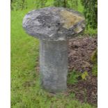 Irish limestone mushroom. {75cm H x 48cm W}