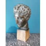 Good quality early 20th C. Grand Tour bronzed plaster head {50 cm H x 25 cm W x 28 cm D}.