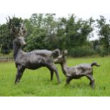 Lifesize cast iron statue of a Deer with fawn. {180cm H x 130cm W x 49cm D}