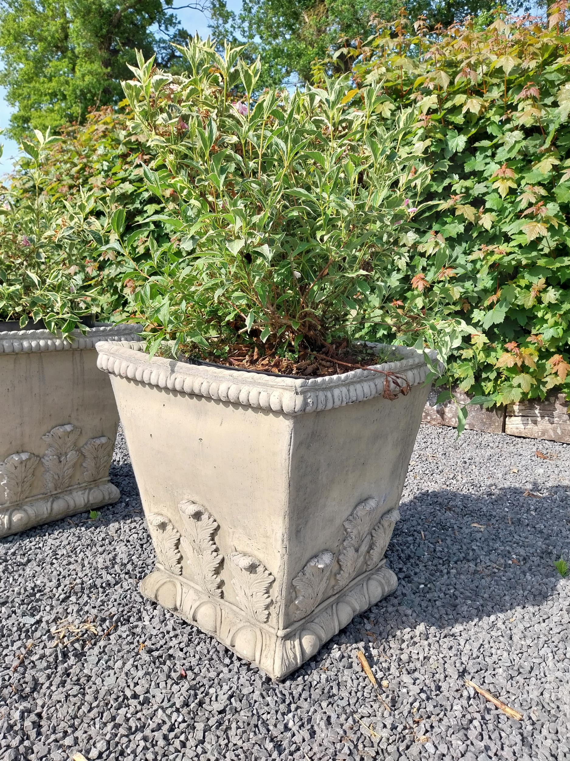 Pair of good quality moulded stone square urns decorated with acanthus leaf {64 cm H x 60 cm W x - Image 3 of 3