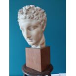 Early 20th C. Grand Tour plaster head raised on wooden plinth {53 cm H x 25 cm W x 30 cm D}.