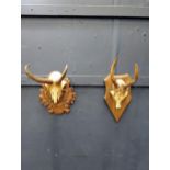 Two sets of deer antlers on plaques {H 25cm x W 15cmx D 20cm}