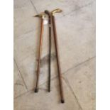 Two 19th. C. walking sticks and a later one.