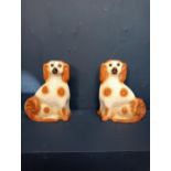 Pair of glazed spaniel dogs with glass eyes {H 26cm x W 20cm x D 10cm}