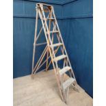 Painters ladder {H 200cm x W 51cm x D 114cm}
