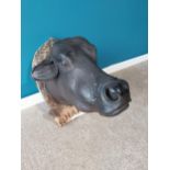 Good quality hand carved wooden model of a bulls head mounted on a plaque {62cm H x 44cm W x 6cm D}