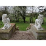 Pair of composition stone models of Lions {H 75cm x W 29cm x D 80cm}