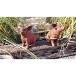 Pair of good quality cast iron models of Piglets {35 cm H x 30 cm W x 15 cm D}.