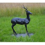 Cast iron model of a young deer standing on an oval plinth {125 cm H x 145 cm W x 45 cm D}.