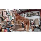 Taxidermy fox on oak plinth standing on log. {97 cm H x 67 cm W x 21 cm D}.