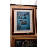 Carroll's Kerry Blue cigarettes framed advertising print. {59 cm H x 48 cm W}.