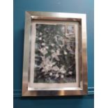 Framed Carrickmacross Lace Anne Eccleston. {55 cm H x 42 cm W}.