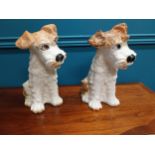 Pair of early 20th C. hand painted ceramic Dogs. {30 cm H x 23 cm W x 16 cm D}.