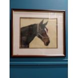 Framed watercolour - Study of Horse. {44 cm H x 50 cm W}