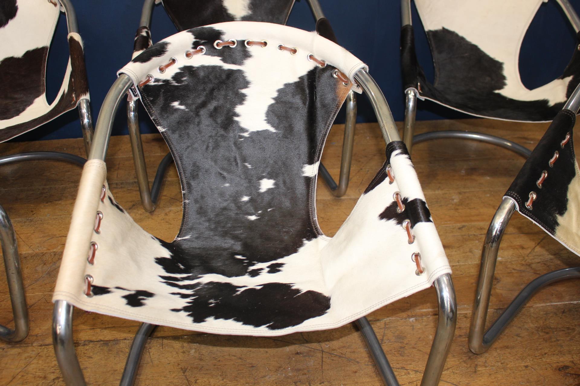 Set of six Retro cowhide and chrome tub chairs {H 68cm x W 64cm x D 50cm }. - Image 2 of 6