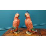 Pair of early 20th C. Italian hand painted ceramic Parrots by R. Passari with damage {38 cm H x 13