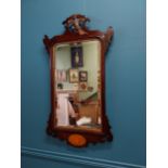 19th C. mahogany and partial gilt pier mirror {90 cm H x 50 cm W}.