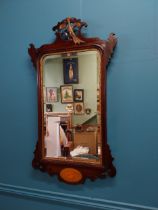 19th C. mahogany and partial gilt pier mirror {90 cm H x 50 cm W}.