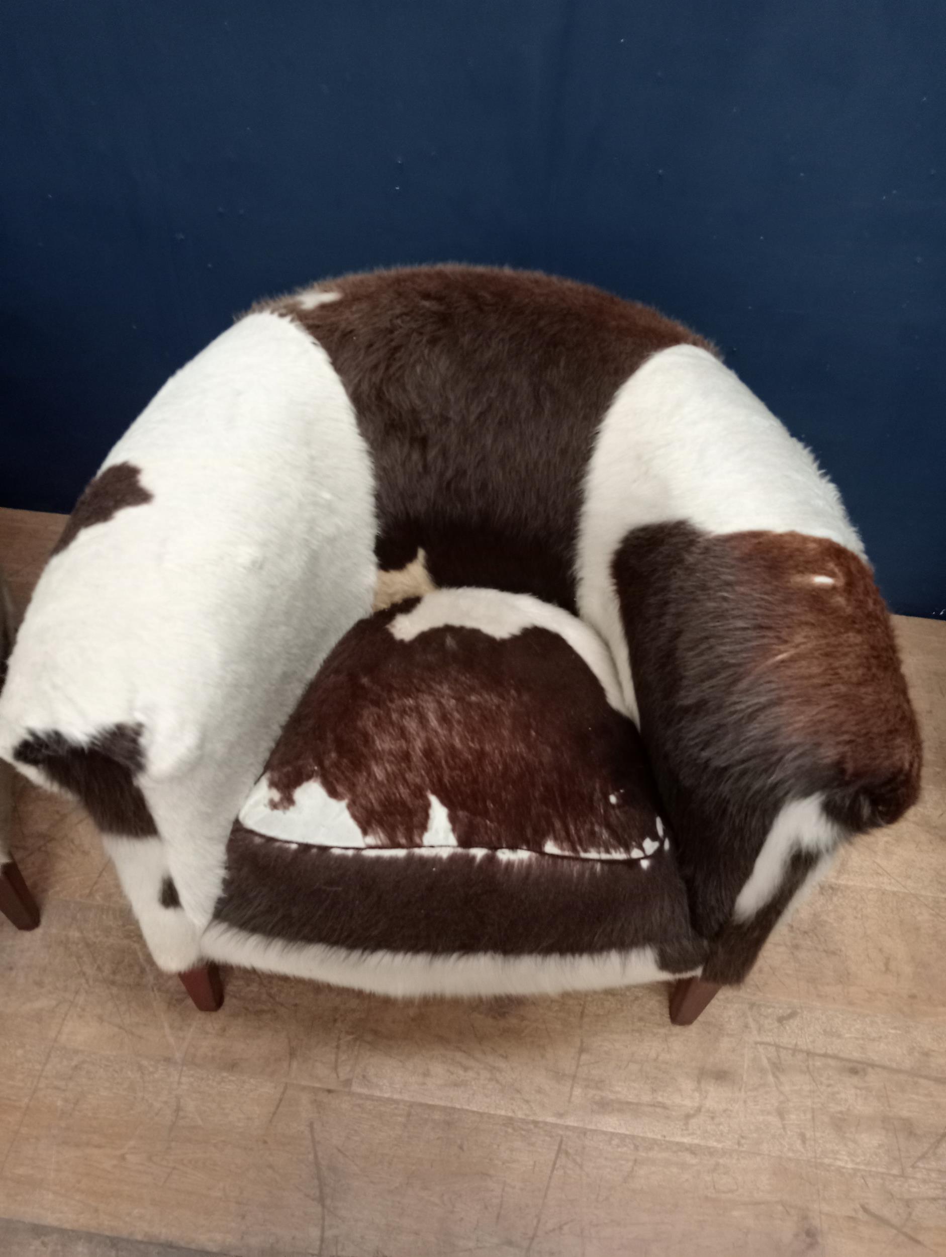 Pair of cow hide tub chairs raised on square tapered legs {H 70cm x W 80cm x D 70cm }. - Image 2 of 4