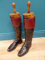 Pair of early 20th C. leather riding boots with shoe trees {60 cm H x 30 cm W x 13 cm D}.