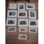 Miscellaneous lot of etchings and prints of Irish Coastal Scenes and Animals}.