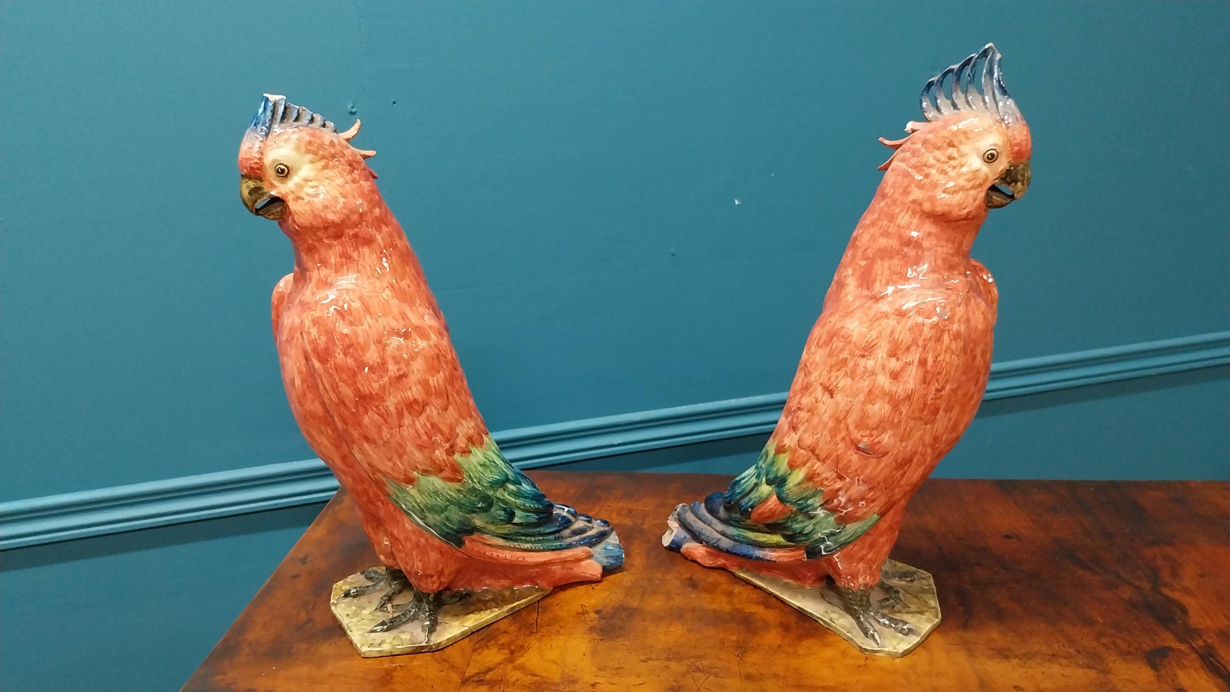 Pair of early 20th C. Italian hand painted ceramic Parrots by R. Passari with damage {38 cm H x 13 - Image 4 of 5
