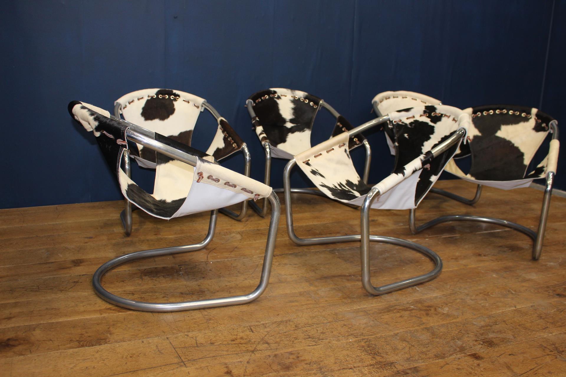 Set of six Retro cowhide and chrome tub chairs {H 68cm x W 64cm x D 50cm }. - Image 5 of 6