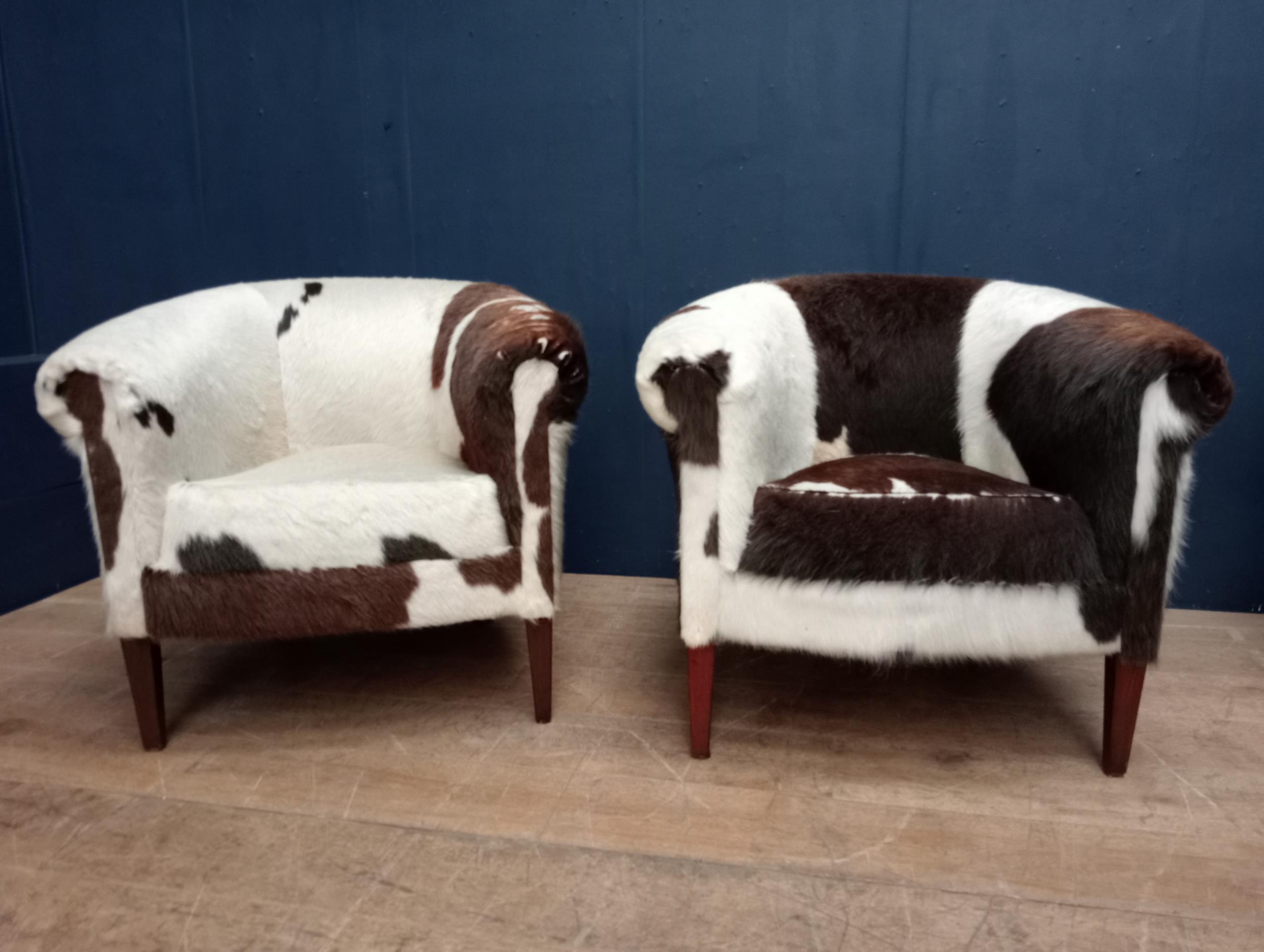 Pair of cow hide tub chairs raised on square tapered legs {H 70cm x W 80cm x D 70cm }.