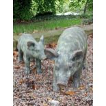 Pair of resin pigs {Large H 27cm x W 65cm x D 16cm Small H 17cm x W 40cm x D 11cm }.