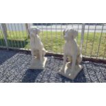 Pair of moulded stone models of seated Labradors dogs {75 cm H x 28 cm W x 46 cm D}.